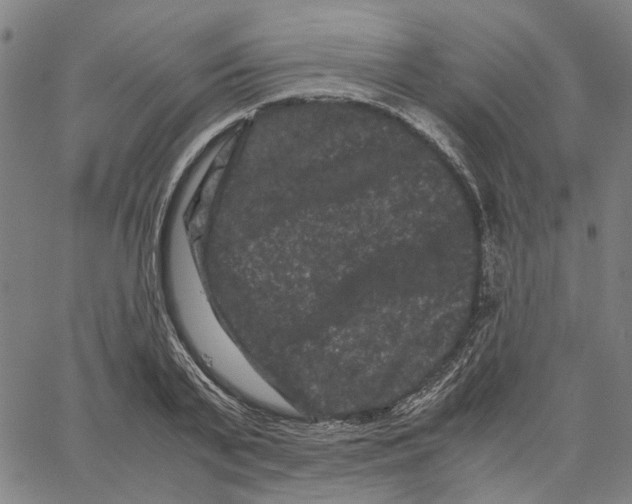 X0000062630791200601181718