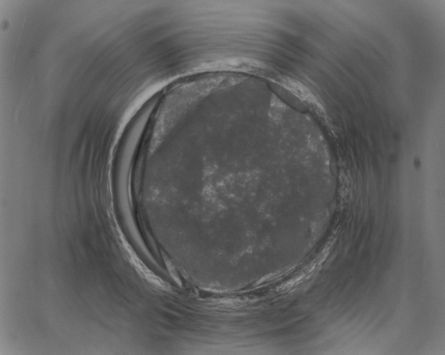 X0000062630792200601181718