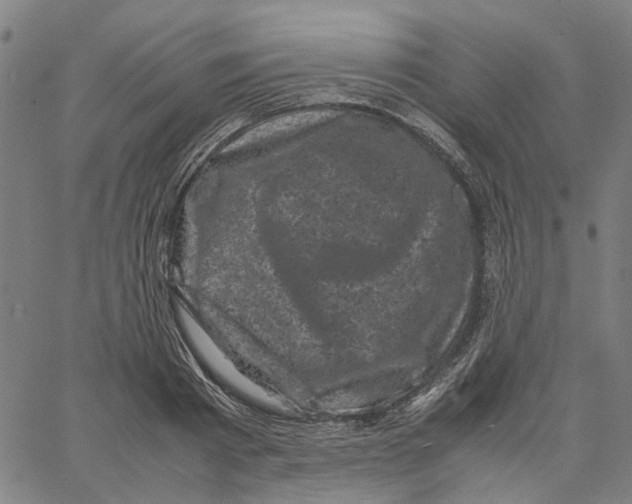 X0000062630793200601181718