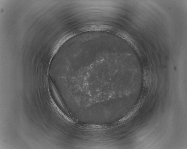 X0000062630794200601181718