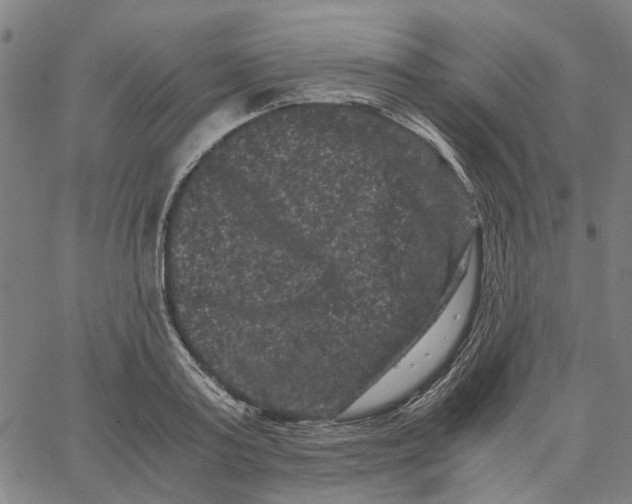 X0000062630795200601181718