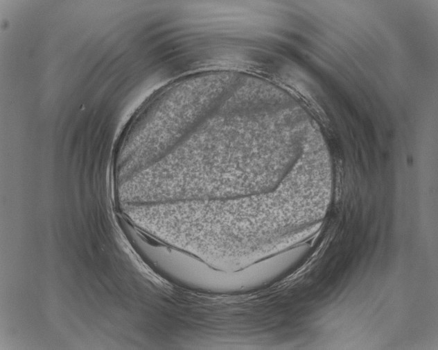 X0000062630796200601181718