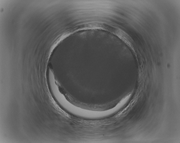 X0000062630797200601181718