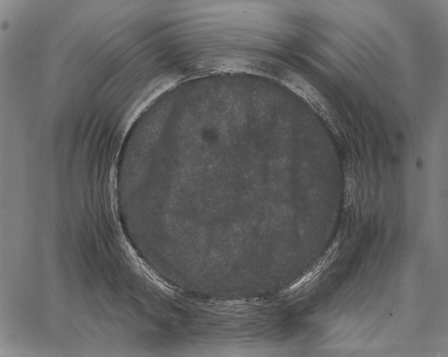 X0000062630798200601181718