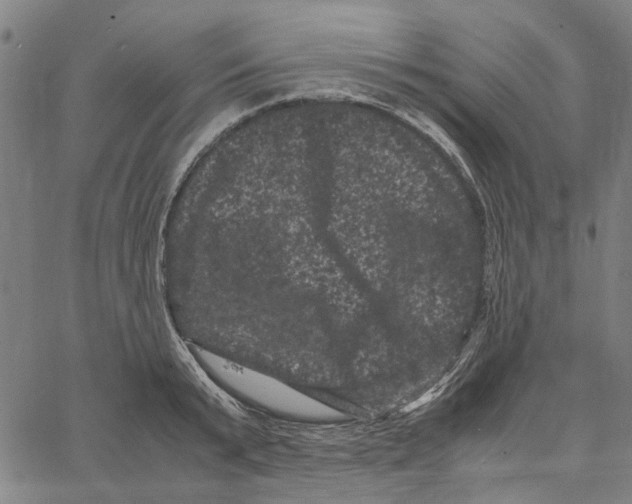 X0000062630799200601181718