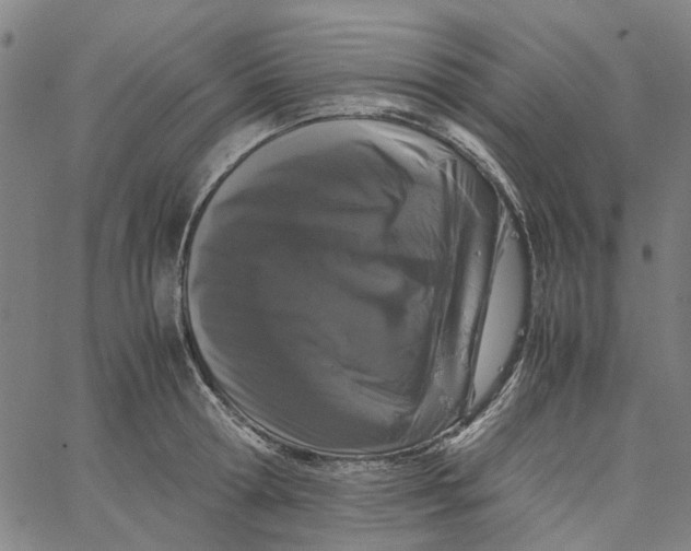 X0000062630802200601181718