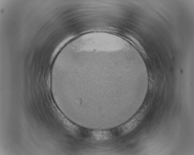 X0000062630804200601181718