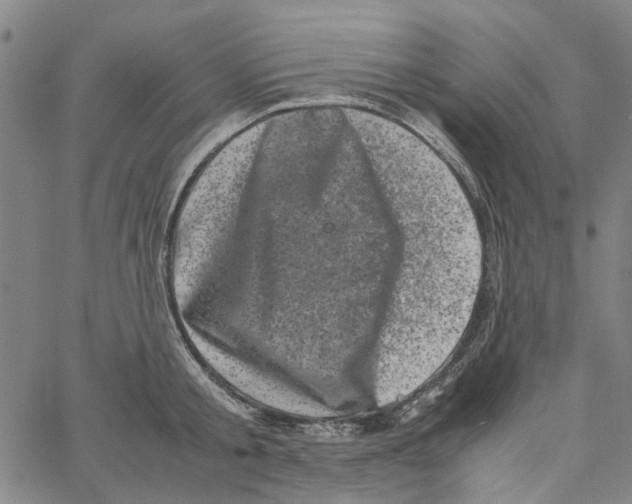 X0000062630805200601181718