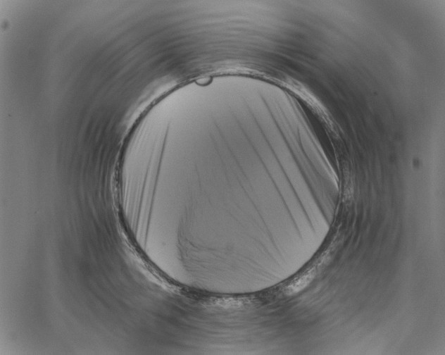 X0000062630806200601181718