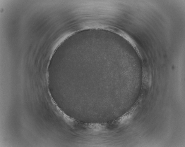 X0000062630807200601181718