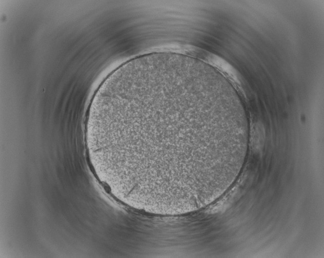 X0000062630808200601181718