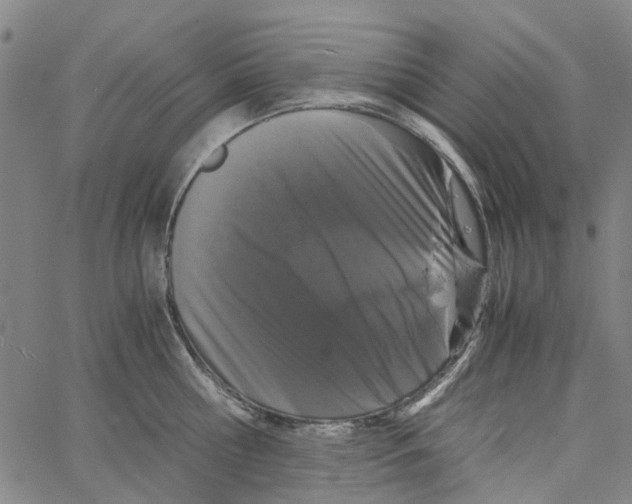 X0000062630810200601181718