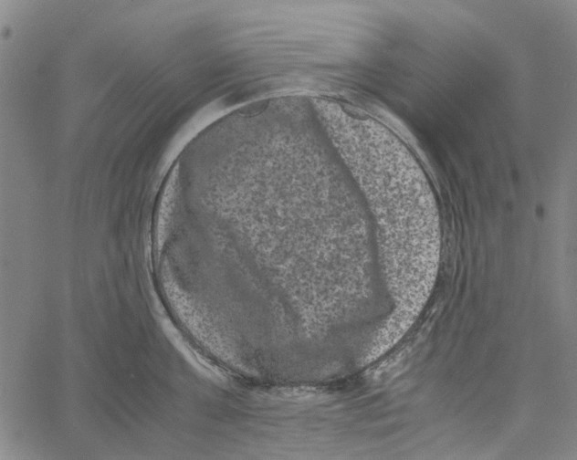 X0000062630811200601181718