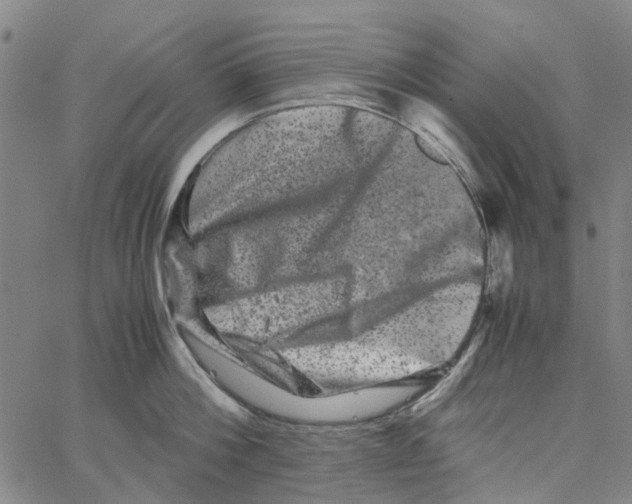 X0000062630812200601181718