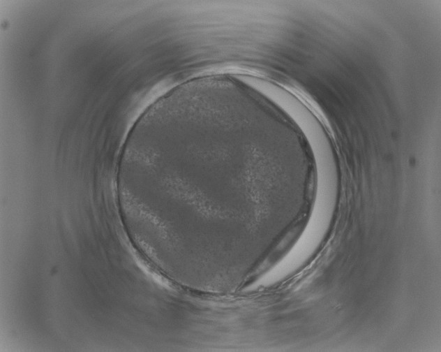 X0000062630813200601181718