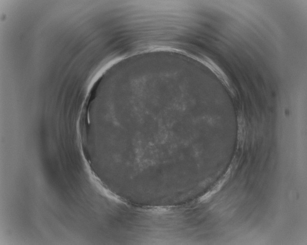 X0000062630814200601181718