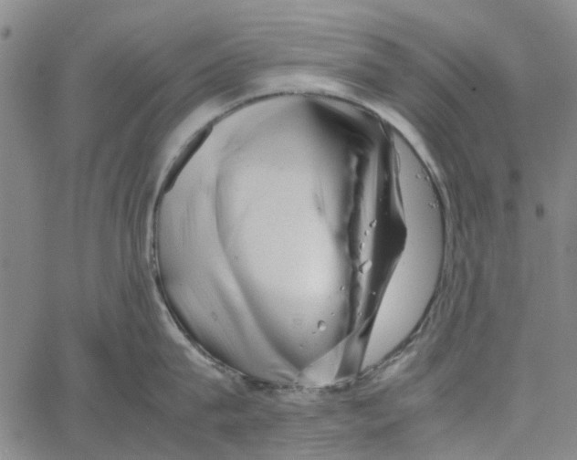 X0000062630815200601181718