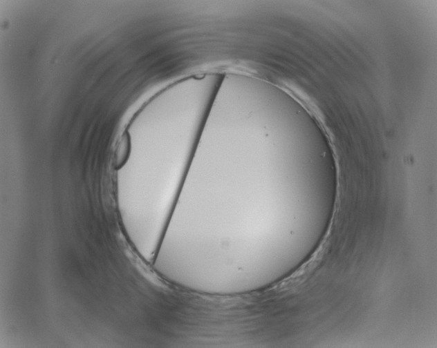 X0000062630816200601181718