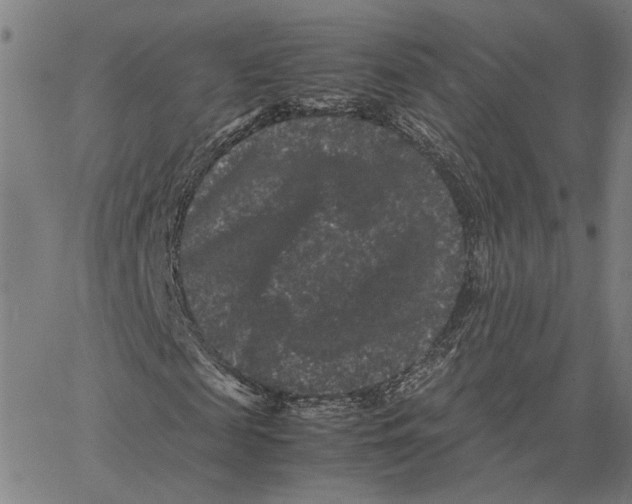 X0000062630817200601181717