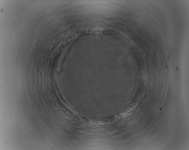 X0000062630818200601181717