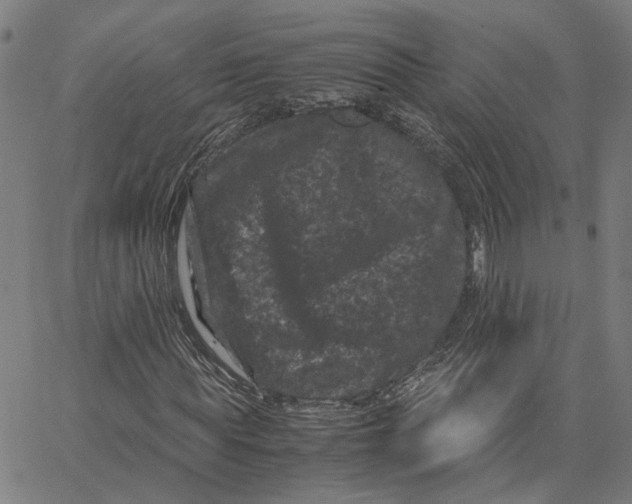 X0000062630819200601181717