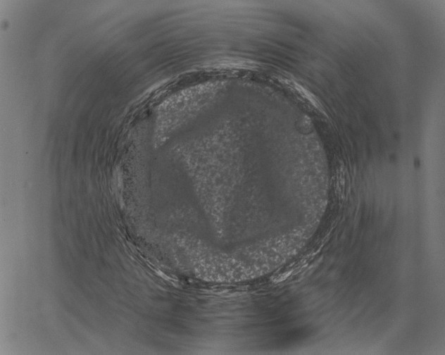 X0000062630821200601181717