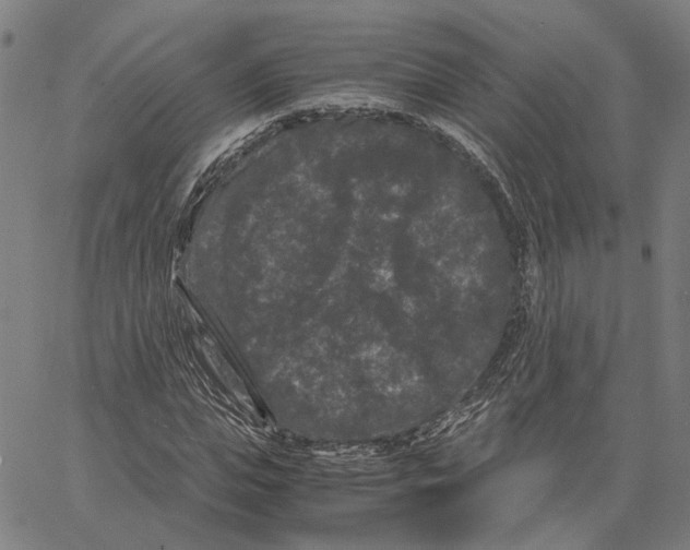 X0000062630823200601181717