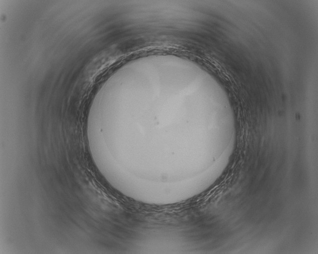 X0000062630824200601181717