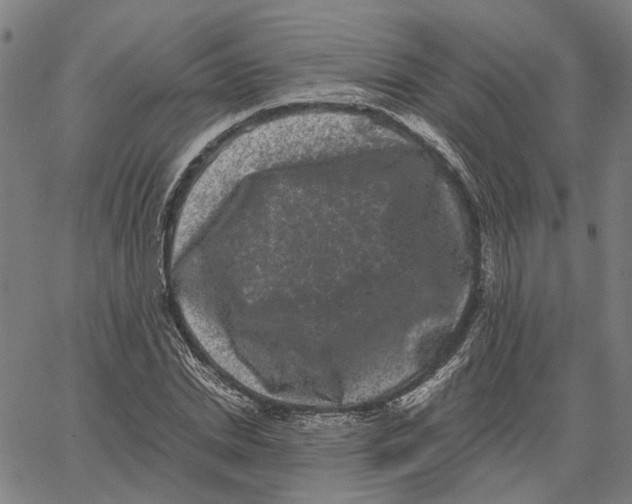 X0000062630830200601181717