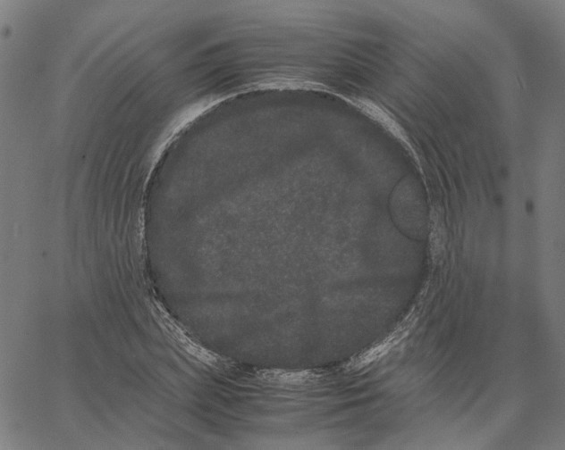 X0000062630831200601181717