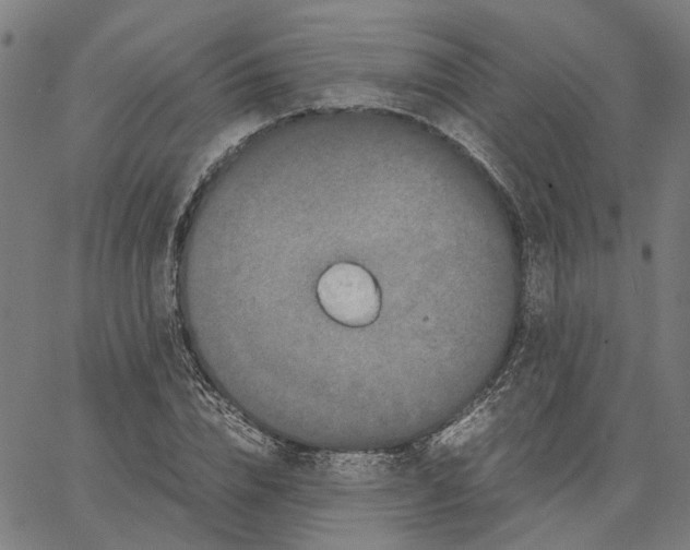 X0000062630832200601181717