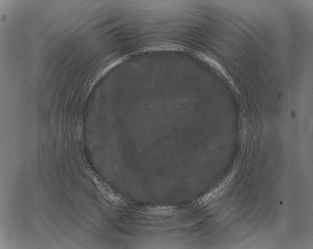 X0000062630833200601181717