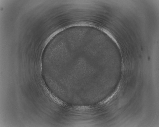 X0000062630837200601181718