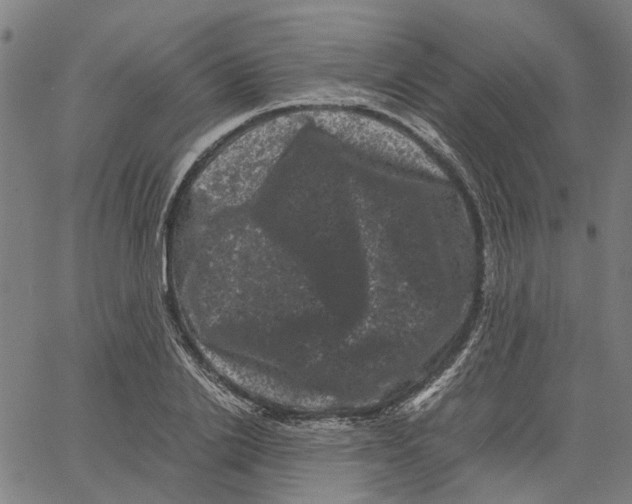 X0000062630838200601181718