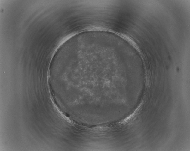 X0000062630839200601181718