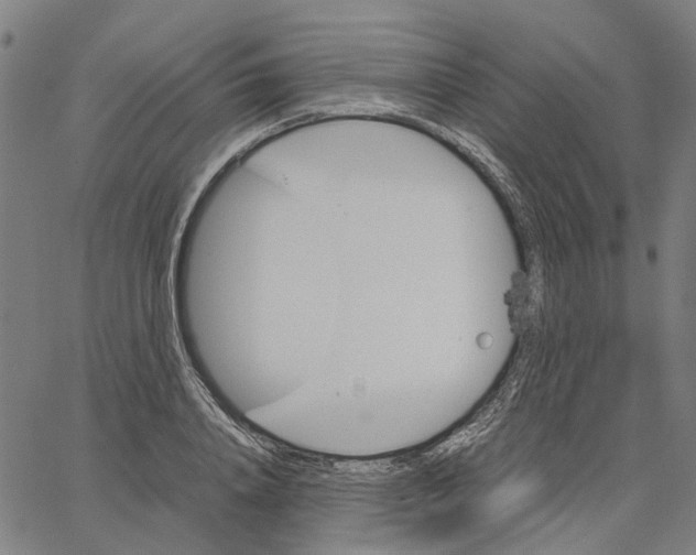 X0000062630840200601181718