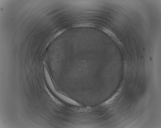 X0000062630841200601181718