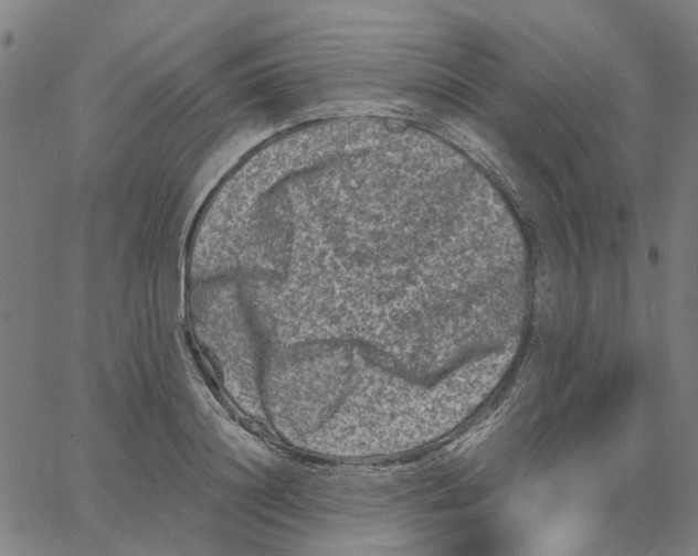 X0000062630844200601181718