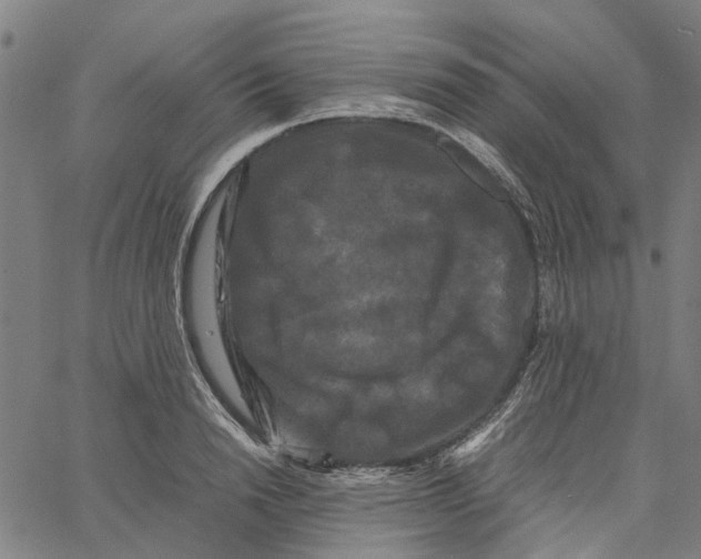 X0000062630846200601181718