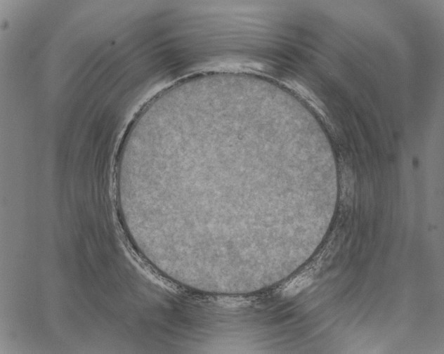 X0000062630848200601181718