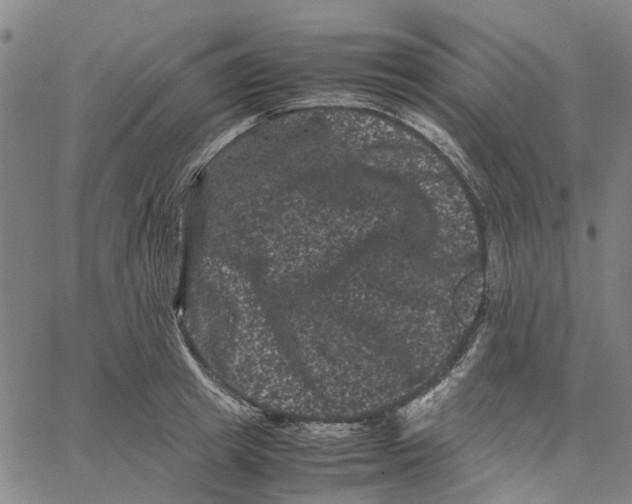 X0000062630849200601181718