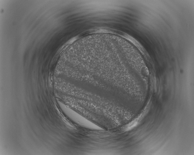 X0000062630857200601181718