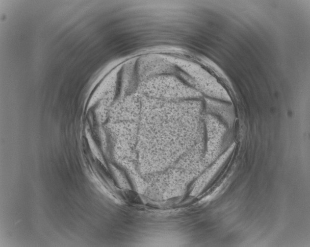 X0000062630860200601181718