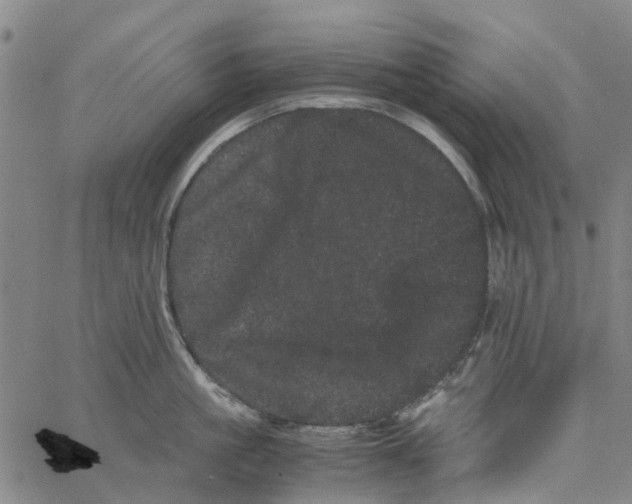 X0000062630861200601181718