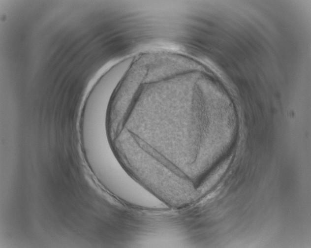 X0000062630864200601181718