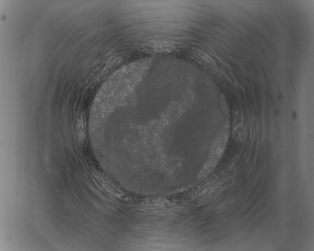 X0000062630866200601181717