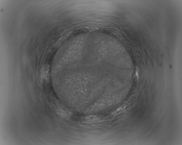 X0000062630867200601181717