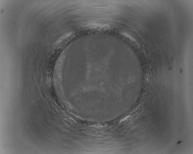 X0000062630869200601181717