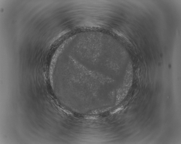 X0000062630870200601181717