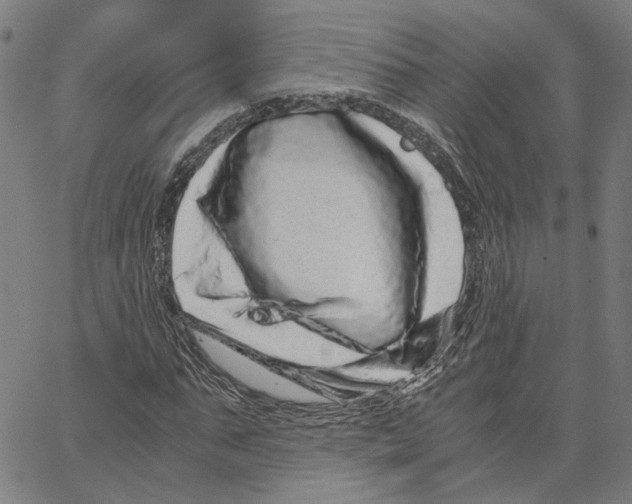 X0000062630871200601181717